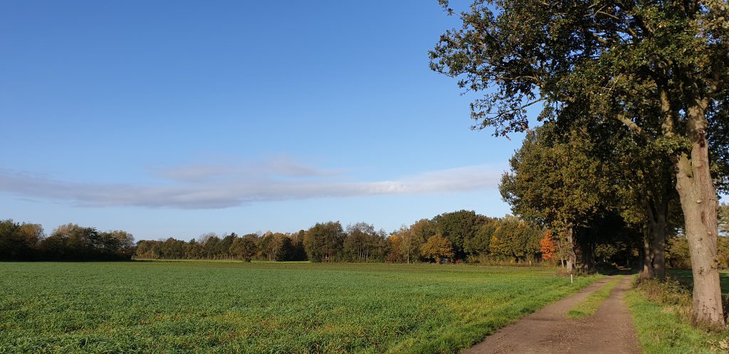 natuurcamping limburg